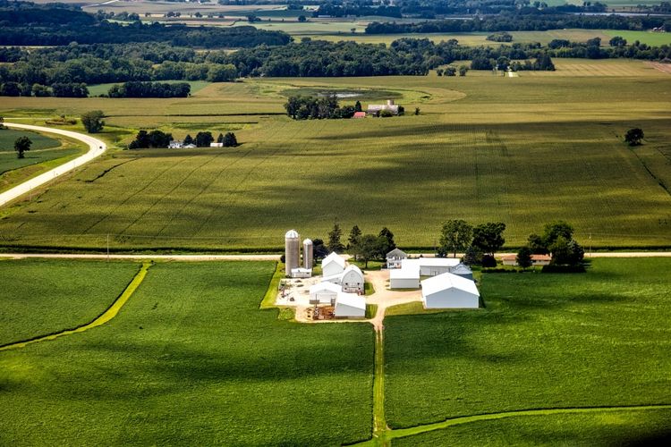 Belleville, WI Homes for Sale and Realtors