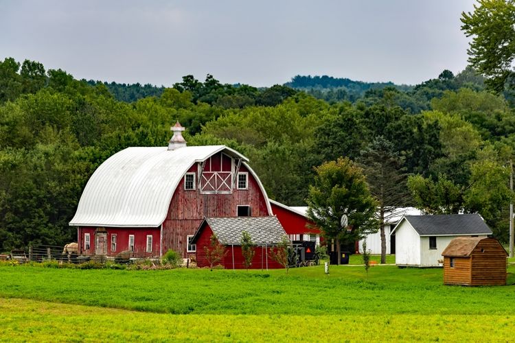 Black Earth, WI Homes for Sale and Realtors